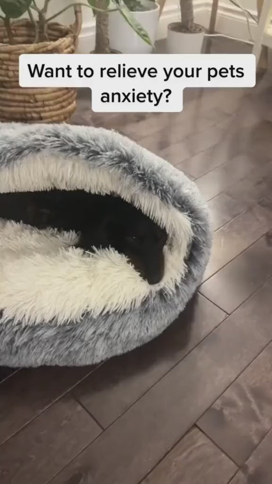 Cloud Nine Pet Bed - Where Dreams Take Flight